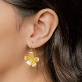 Sweet Kalachuchi Flower Drop Earrings